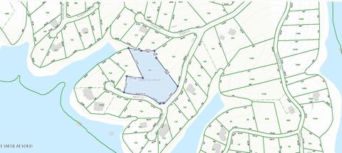 Tiny photo for 1522 Catoosa Drive, Mooresburg, TN 37811 (MLS # 1331987)