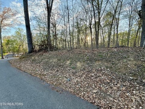 Tiny photo for 1522 Catoosa Drive, Mooresburg, TN 37811 (MLS # 1331987)