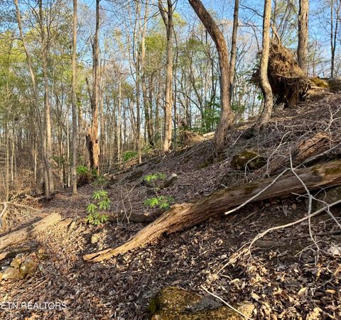 Tiny photo for 1522 Catoosa Drive, Mooresburg, TN 37811 (MLS # 1331987)