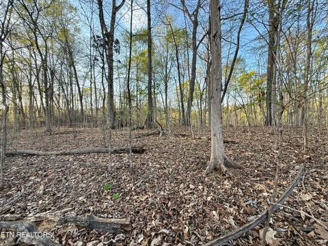 Tiny photo for 1522 Catoosa Drive, Mooresburg, TN 37811 (MLS # 1331987)