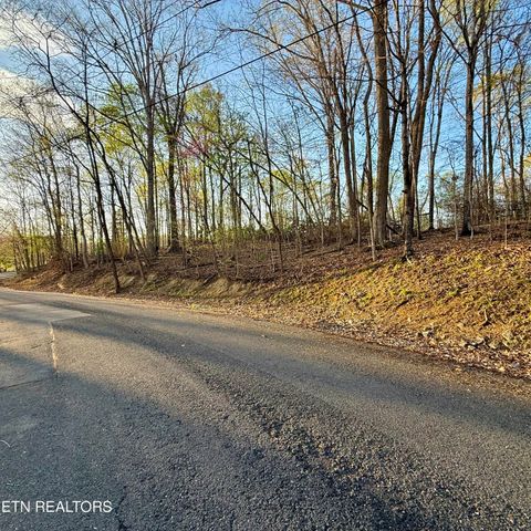 Tiny photo for 1522 Catoosa Drive, Mooresburg, TN 37811 (MLS # 1331987)
