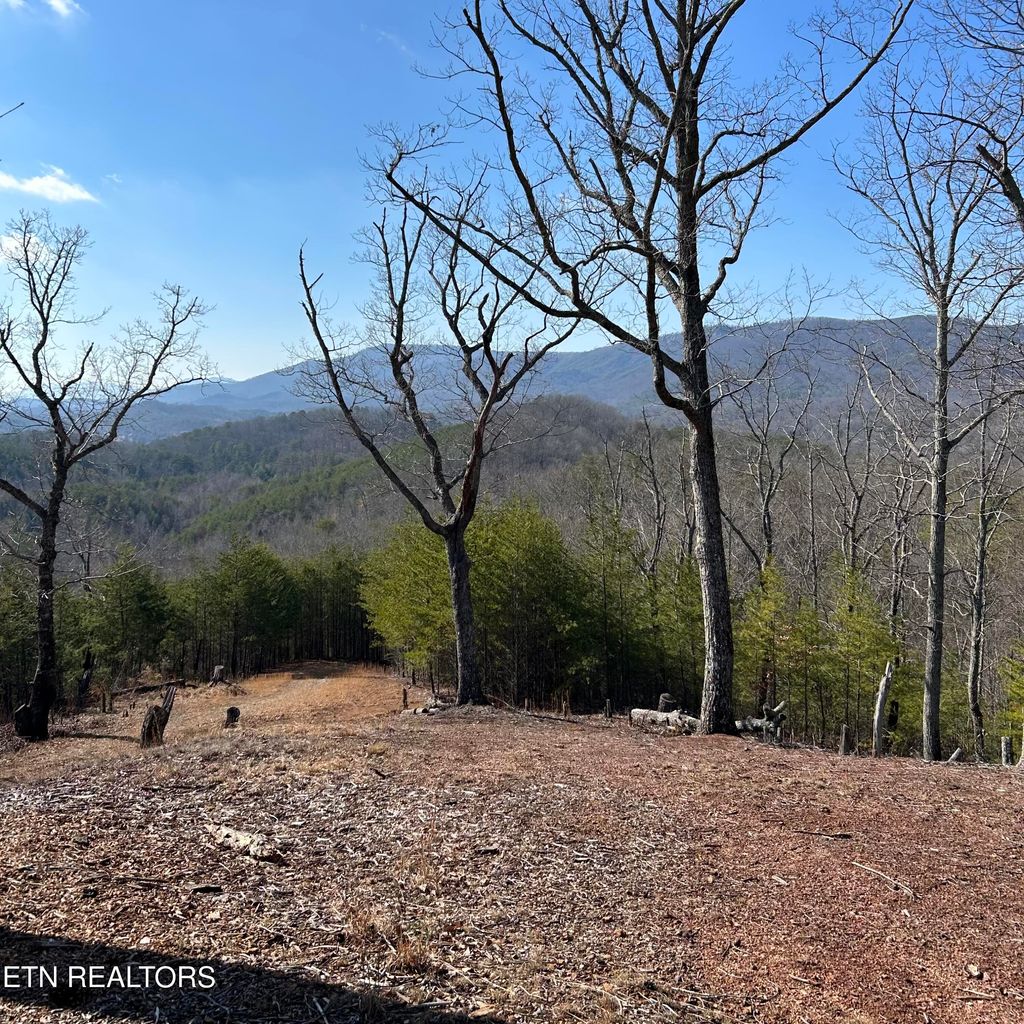 Photo of 200 Mclemore Rd, Tellico Plains, TN 37385 (MLS # 1252586)