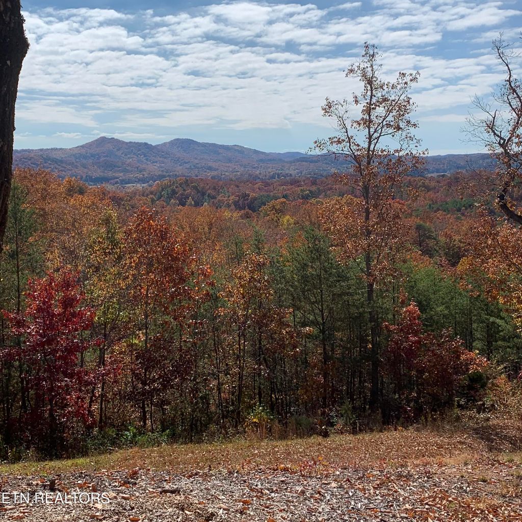 Photo of 200 Mclemore Rd, Tellico Plains, TN 37385 (MLS # 1252586)