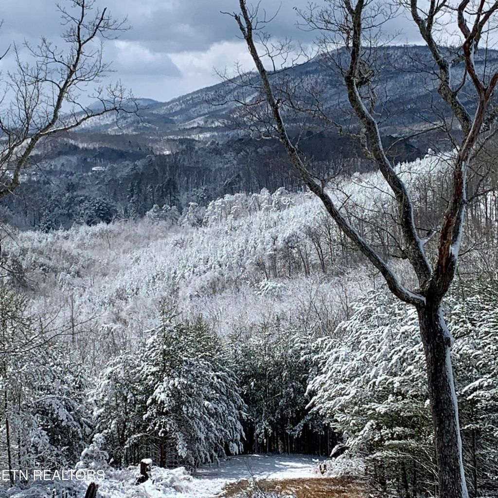 Photo of 200 Mclemore Rd, Tellico Plains, TN 37385 (MLS # 1252586)