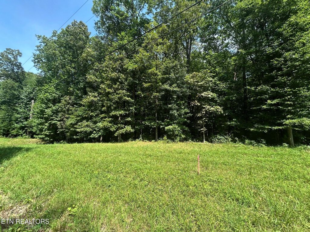 Photo of 2 Highway 304, Ten Mile, TN 37880 (MLS # 1327551)