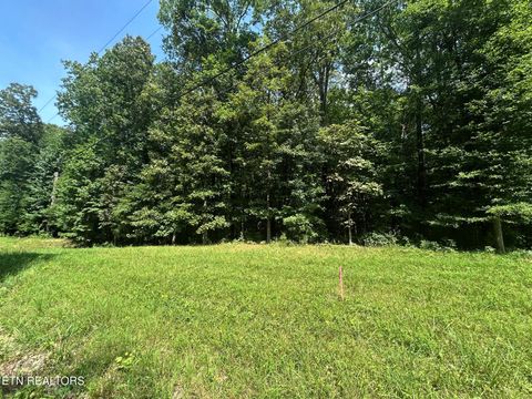 Tiny photo for 2 Highway 304, Ten Mile, TN 37880 (MLS # 1327551)
