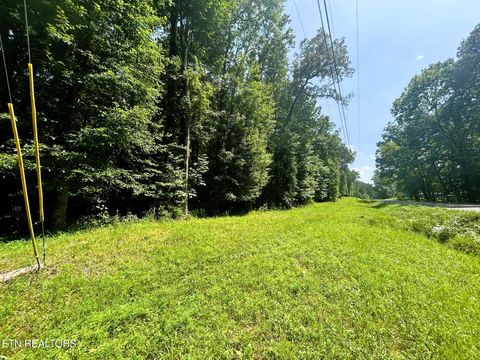 Tiny photo for 2 Highway 304, Ten Mile, TN 37880 (MLS # 1327551)
