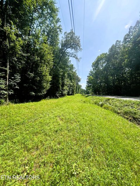 Tiny photo for 2 Highway 304, Ten Mile, TN 37880 (MLS # 1327551)