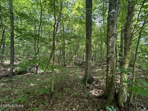 Tiny photo for 2 Highway 304, Ten Mile, TN 37880 (MLS # 1327551)