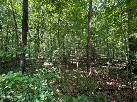 Tiny photo for 2 Highway 304, Ten Mile, TN 37880 (MLS # 1327551)