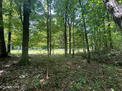 Tiny photo for 2 Highway 304, Ten Mile, TN 37880 (MLS # 1327551)