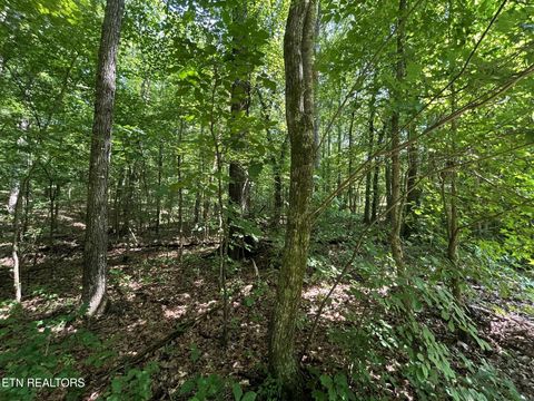 Tiny photo for 2 Highway 304, Ten Mile, TN 37880 (MLS # 1327551)