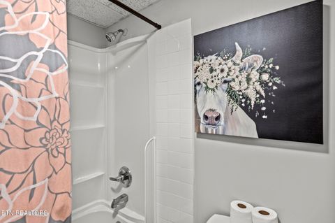 Tiny photo for 413 Baskins Creek Rd #406, Gatlinburg, TN 37738 (MLS # 1333198)