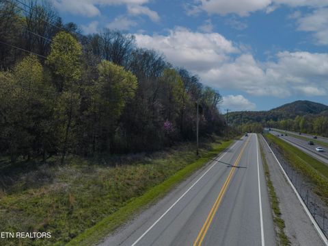 Highway 116 Caryville TN 37714