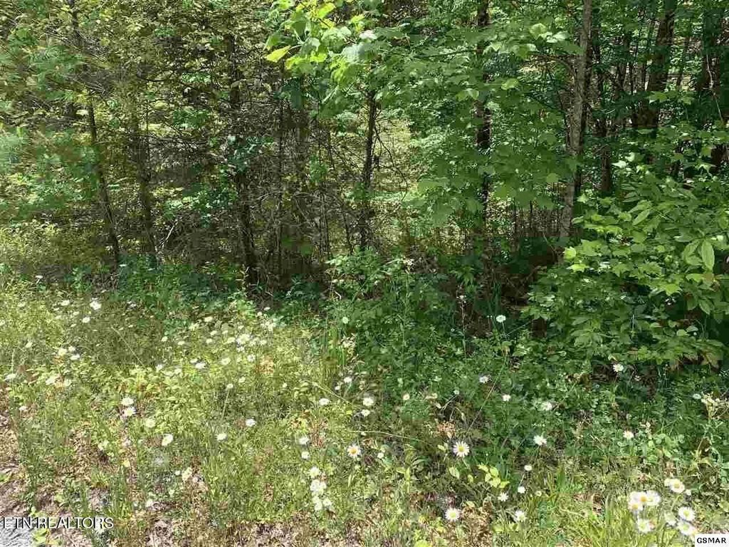 Photo of 34 Hedge Maple Way, Del Rio, TN 37727 (MLS # 1290112)