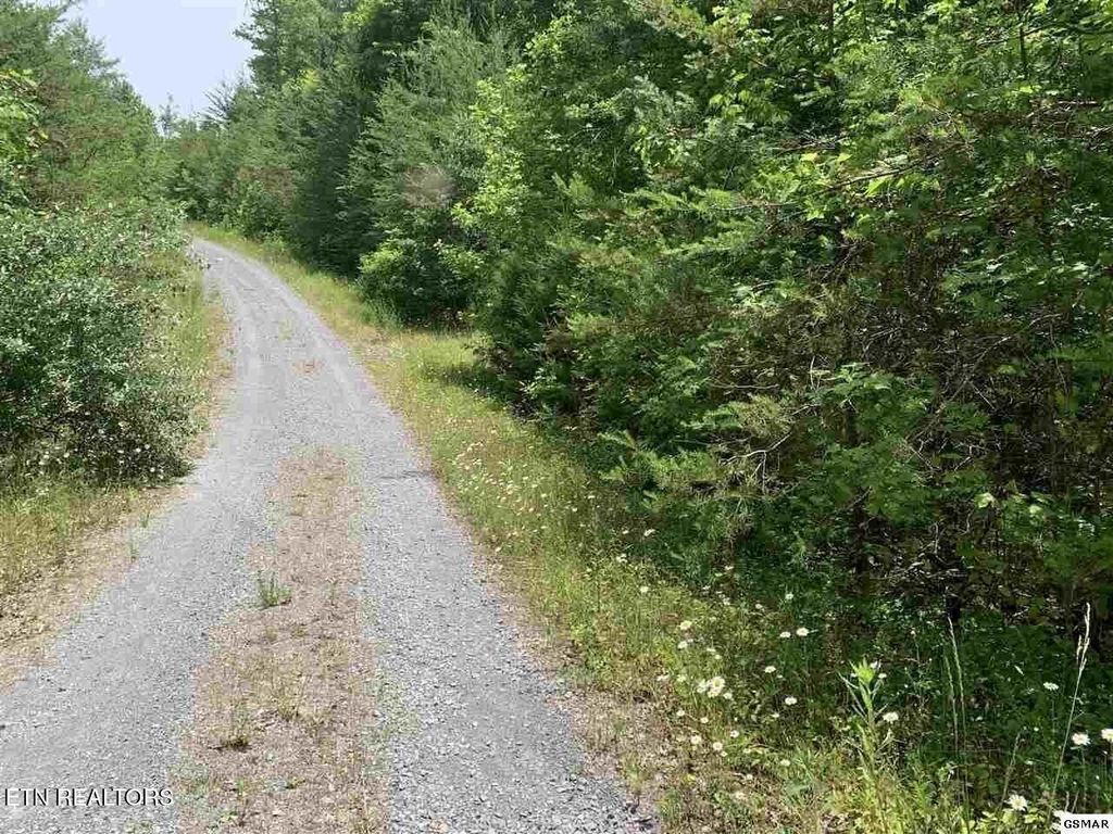 Photo of 34 Hedge Maple Way, Del Rio, TN 37727 (MLS # 1290112)