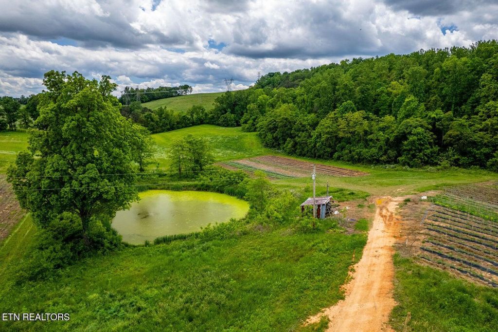 Photo of Greenlee Rd, Rutledge, TN 37861 (MLS # 1329658)