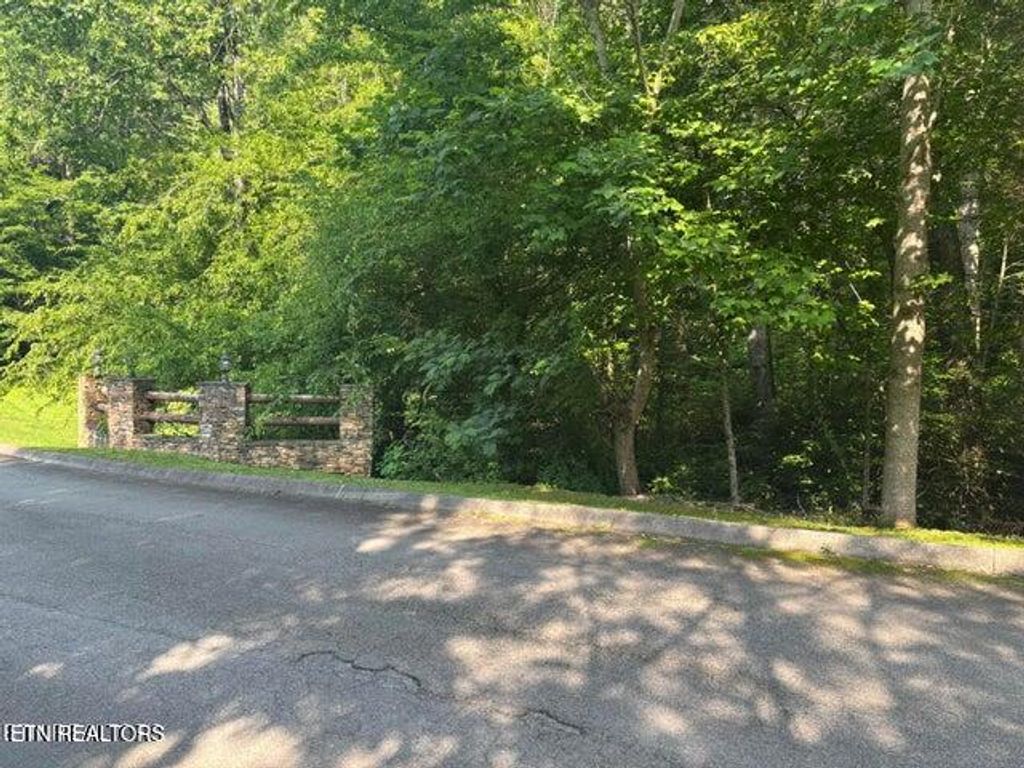 Photo of Smoky Cove Rd, Sevierville, TN 37876 (MLS # 1317903)