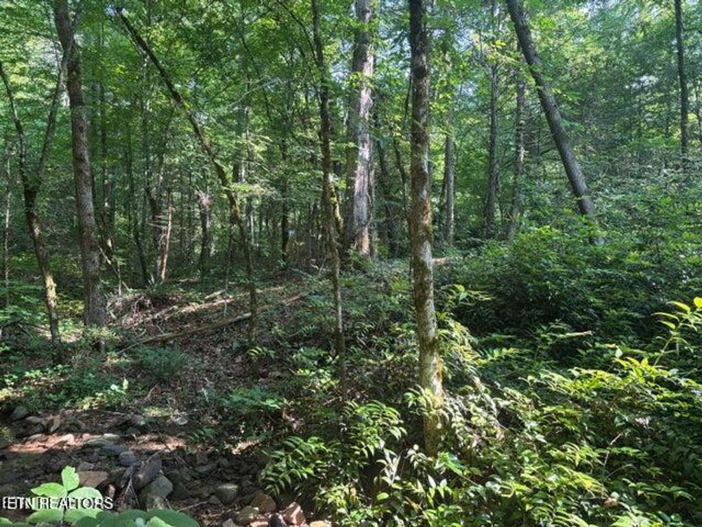 Photo of Smoky Cove Rd, Sevierville, TN 37876 (MLS # 1317903)