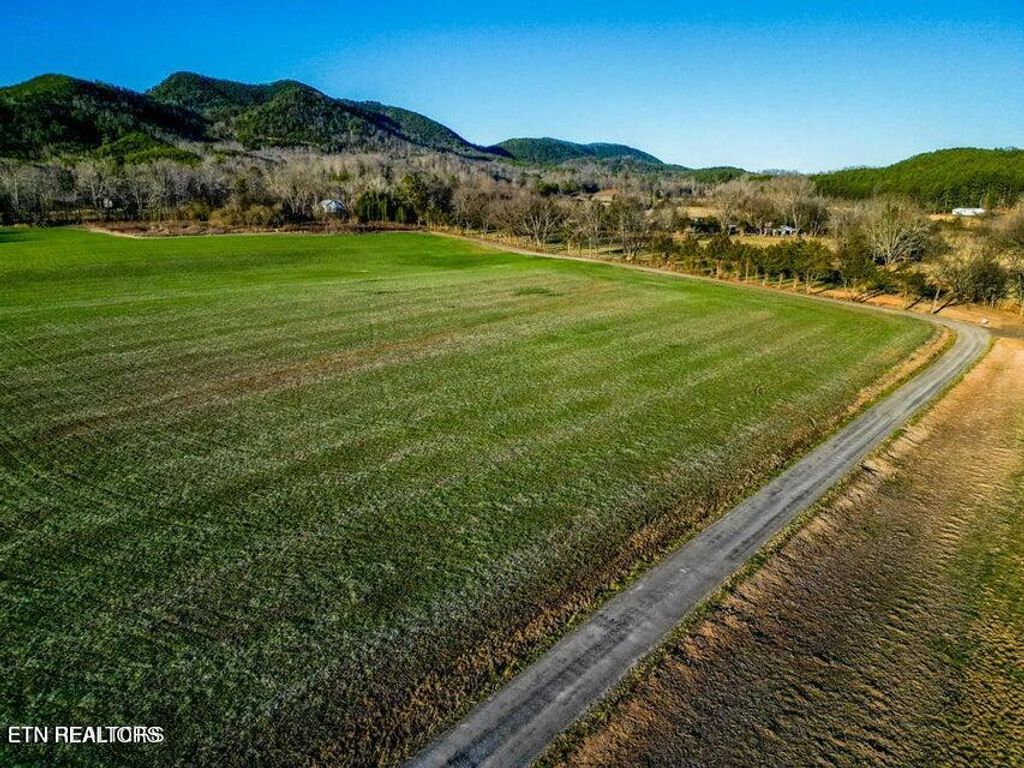 Photo of 127 Tree Top Lane, Tellico Plains, TN 37385 (MLS # 1305585)