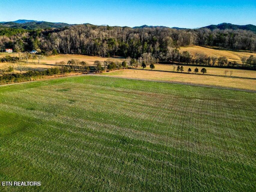 Photo of 127 Tree Top Lane, Tellico Plains, TN 37385 (MLS # 1305585)