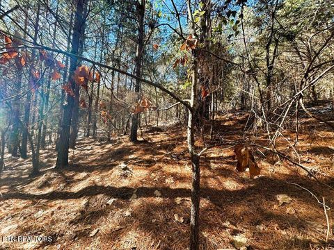 Tiny photo for 1553 Redman Ridge Lane, Decatur, TN 37322 (MLS # 1327540)