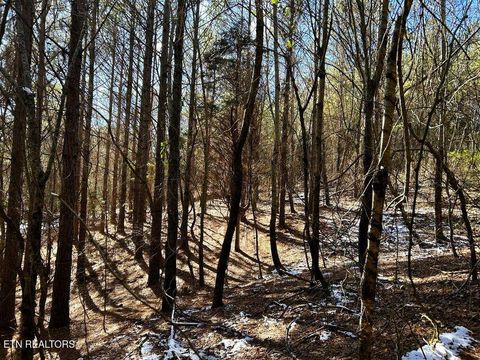 Tiny photo for 1553 Redman Ridge Lane, Decatur, TN 37322 (MLS # 1327540)