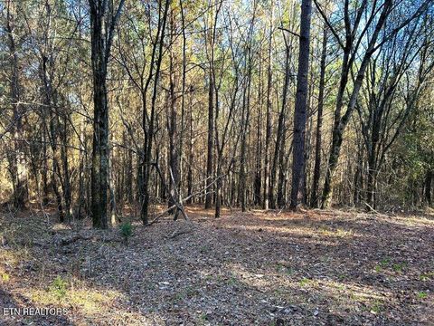 Tiny photo for 1553 Redman Ridge Lane, Decatur, TN 37322 (MLS # 1327540)