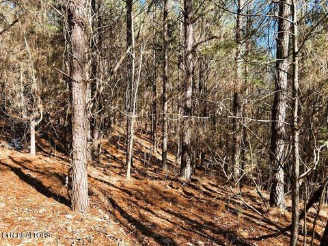 Tiny photo for 1553 Redman Ridge Lane, Decatur, TN 37322 (MLS # 1327540)