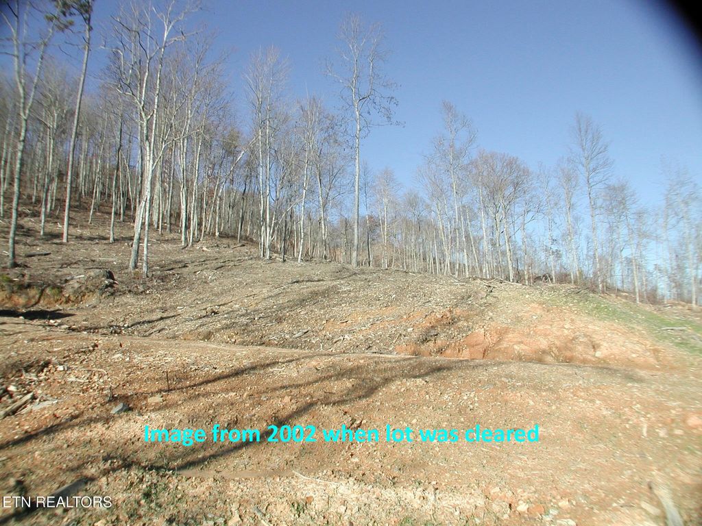 Photo of 592 Whistle Valley Rd, New Tazewell, TN 37825 (MLS # 1300934)