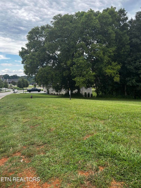 Tiny photo for 3964 Persimmon Ridge RDG, Loudon, TN 37774 (MLS # 1347169)