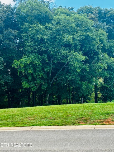 Tiny photo for 3964 Persimmon Ridge RDG, Loudon, TN 37774 (MLS # 1347169)