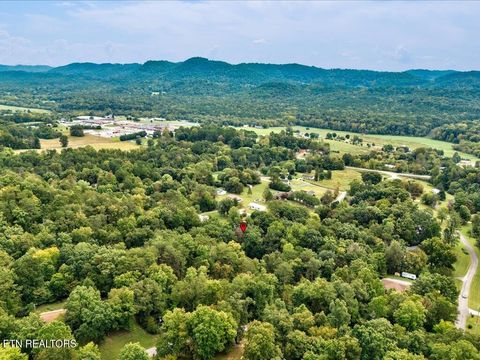 Tiny photo for 262 Mountain View Drive, Rutledge, TN 37861 (MLS # 1315956)