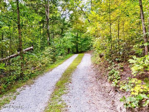 Tiny photo for 262 Mountain View Drive, Rutledge, TN 37861 (MLS # 1315956)