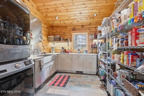 Tiny photo for 430 Filet Lane, Dandridge, TN 37725 (MLS # 1335142)