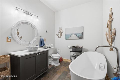 Tiny photo for 430 Filet Lane, Dandridge, TN 37725 (MLS # 1335142)