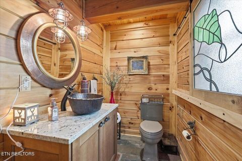 Tiny photo for 430 Filet Lane, Dandridge, TN 37725 (MLS # 1335142)