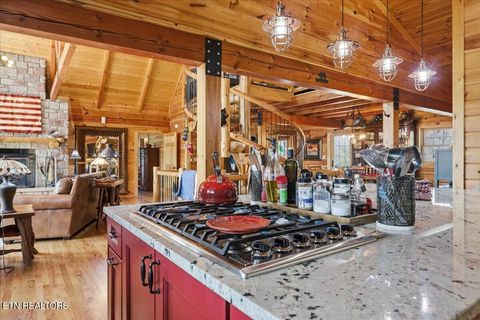 Tiny photo for 430 Filet Lane, Dandridge, TN 37725 (MLS # 1335142)