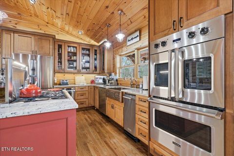 Tiny photo for 430 Filet Lane, Dandridge, TN 37725 (MLS # 1335142)