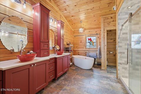 Tiny photo for 430 Filet Lane, Dandridge, TN 37725 (MLS # 1335142)