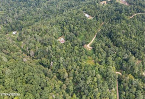 Tiny photo for 878 Little Berry Way, Del Rio, TN 37727 (MLS # 1341947)