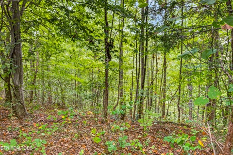 Tiny photo for 30 Timber Ridge Lane, Celina, TN 38551 (MLS # 1357281)