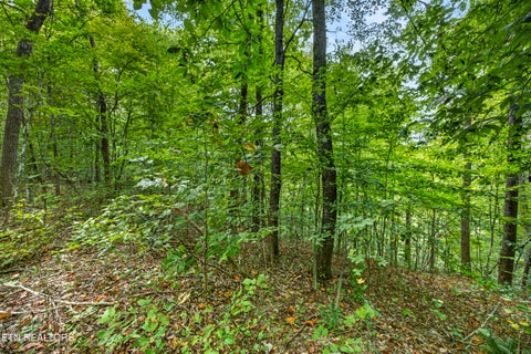 Photo of 30 Timber Ridge Lane, Celina, TN 38551 (MLS # 1357281)
