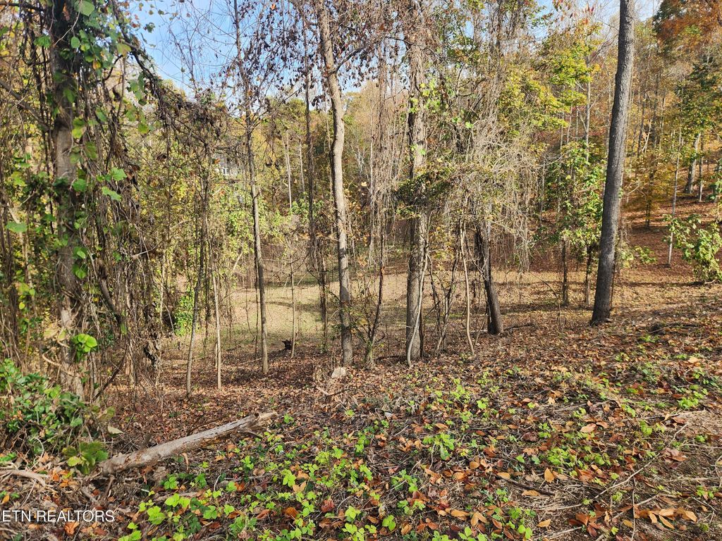Photo of St James Lane, Clinton, TN 37716 (MLS # 1303175)