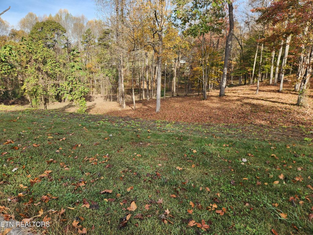 Photo of St James Lane, Clinton, TN 37716 (MLS # 1303175)