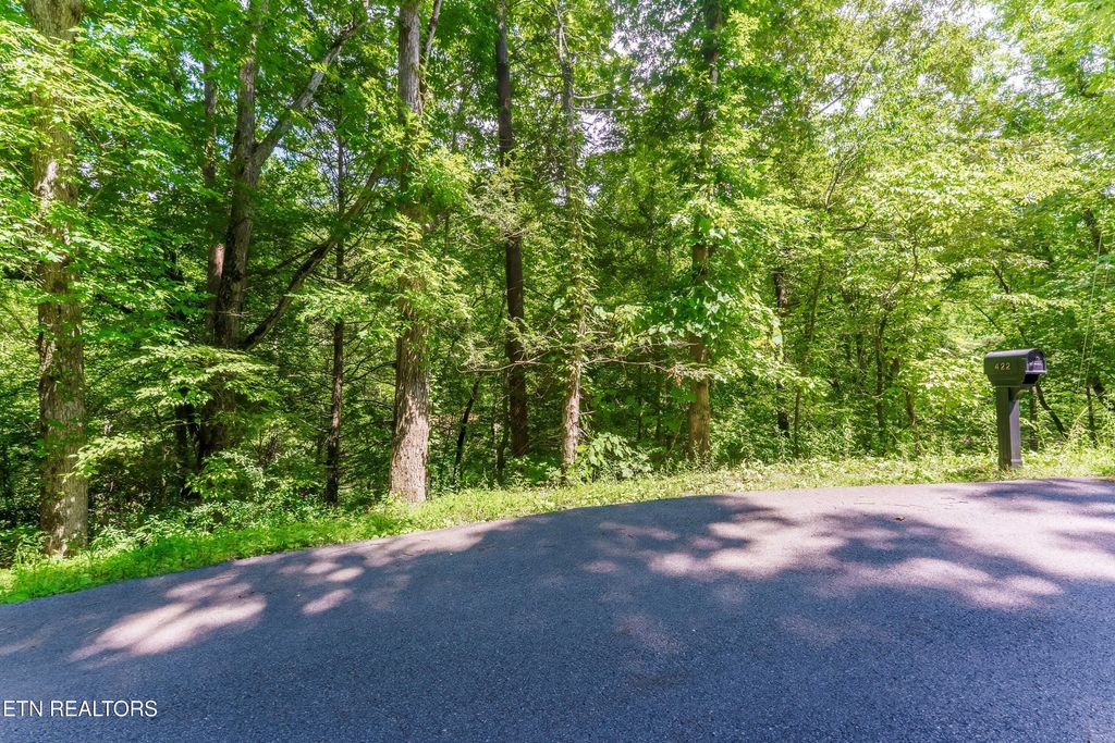 Photo of Maples Rd, Gatlinburg, TN 37738 (MLS # 1306749)