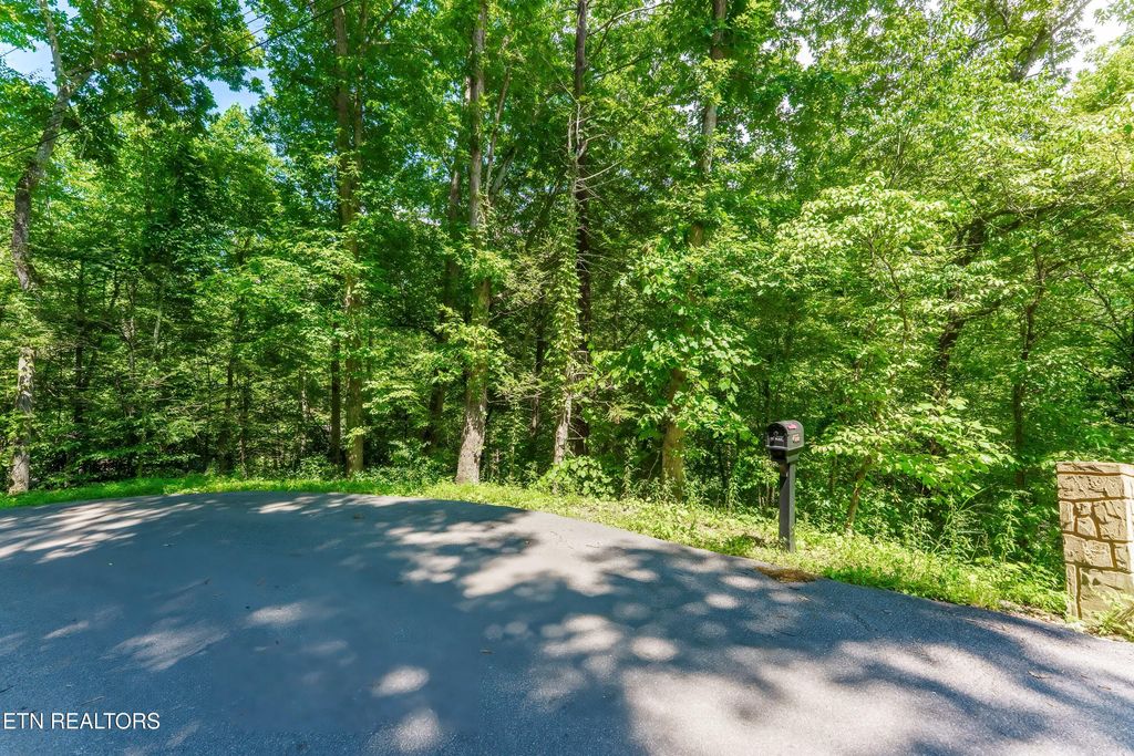 Photo of Maples Rd, Gatlinburg, TN 37738 (MLS # 1306749)