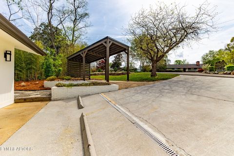 Tiny photo for 3811 Taliluna Ave, Knoxville, TN 37919 (MLS # 1335409)
