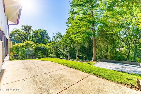 Tiny photo for 3811 Taliluna Ave, Knoxville, TN 37919 (MLS # 1335409)