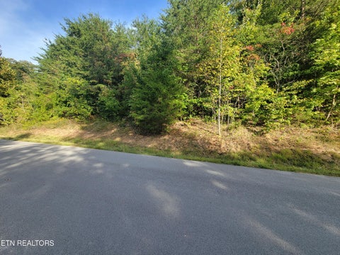 Photo of 51 Hickory Point Lane, Maynardville, TN 37807 (MLS # 1357531)